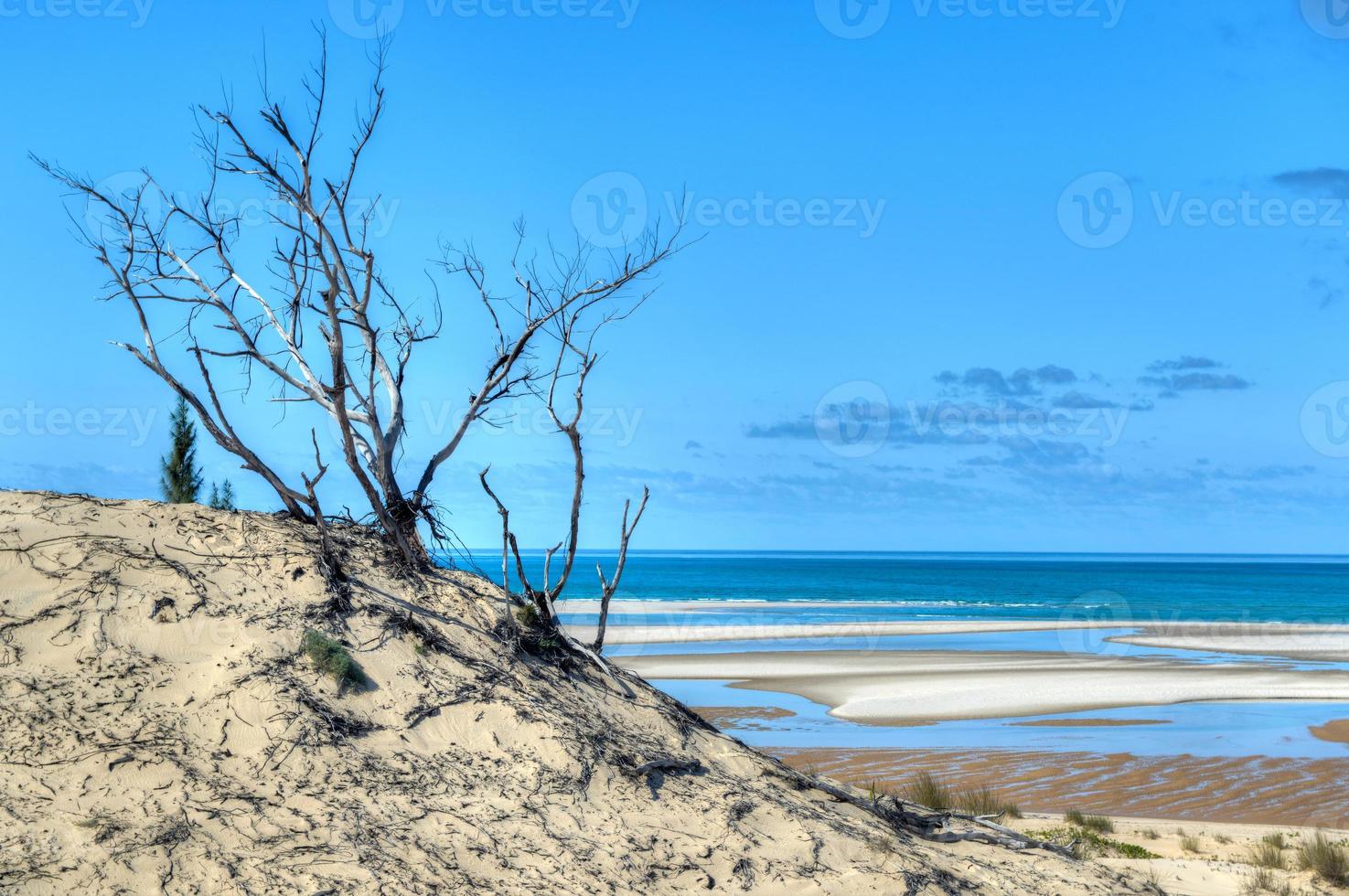 Bazaruto Island, Mozambique photo