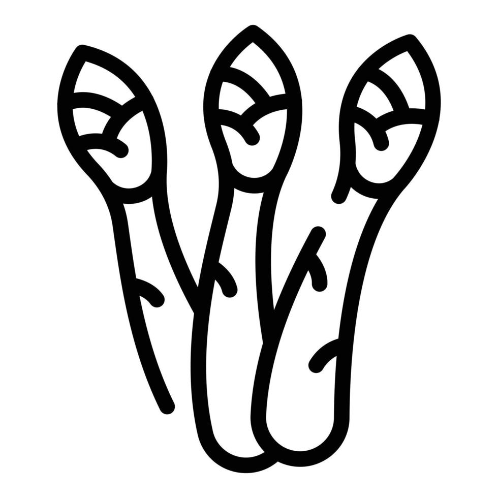 Vegetable asparagus icon, outline style vector