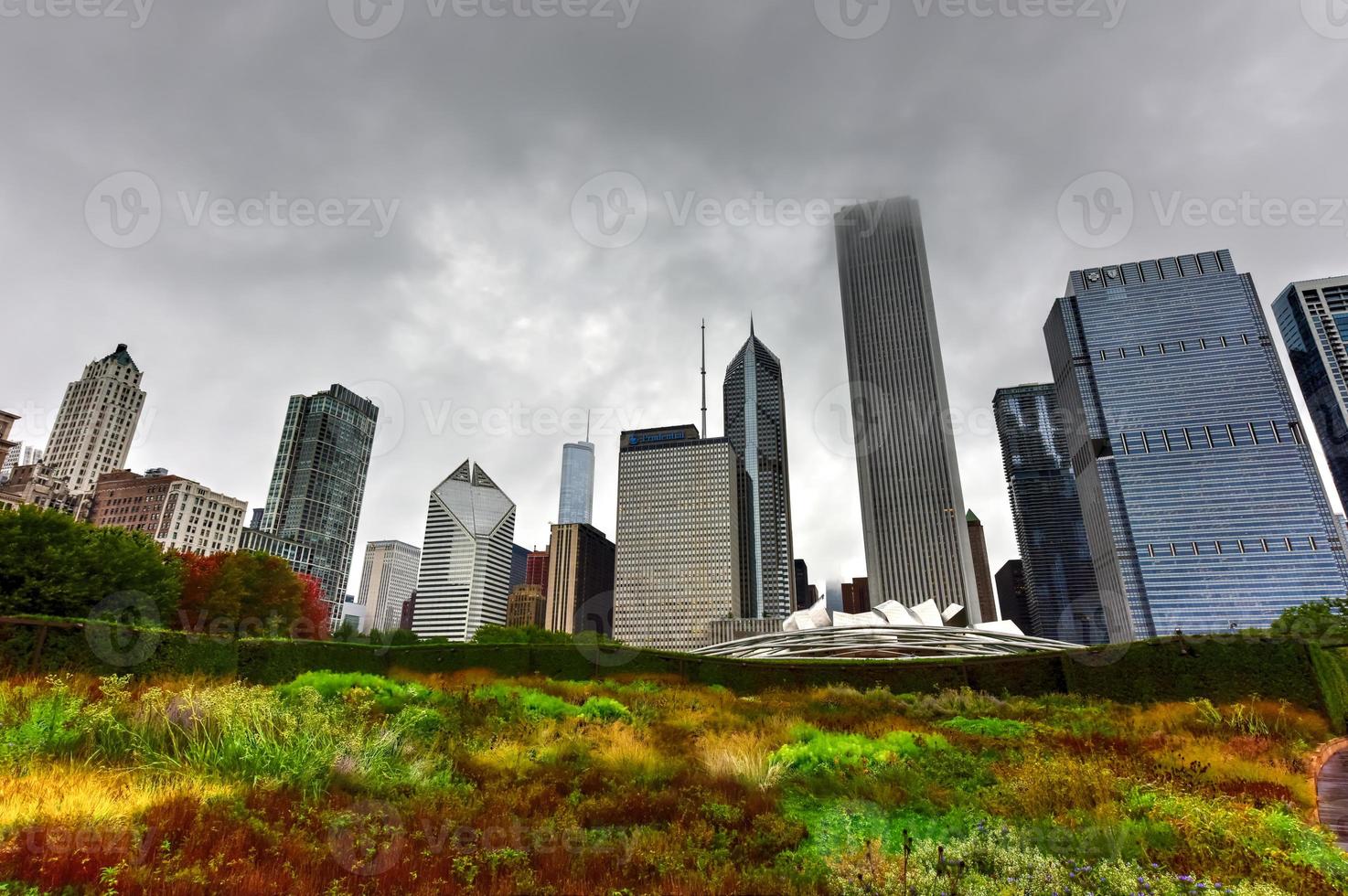 Chicago Skyline View from Lurie Garden photo