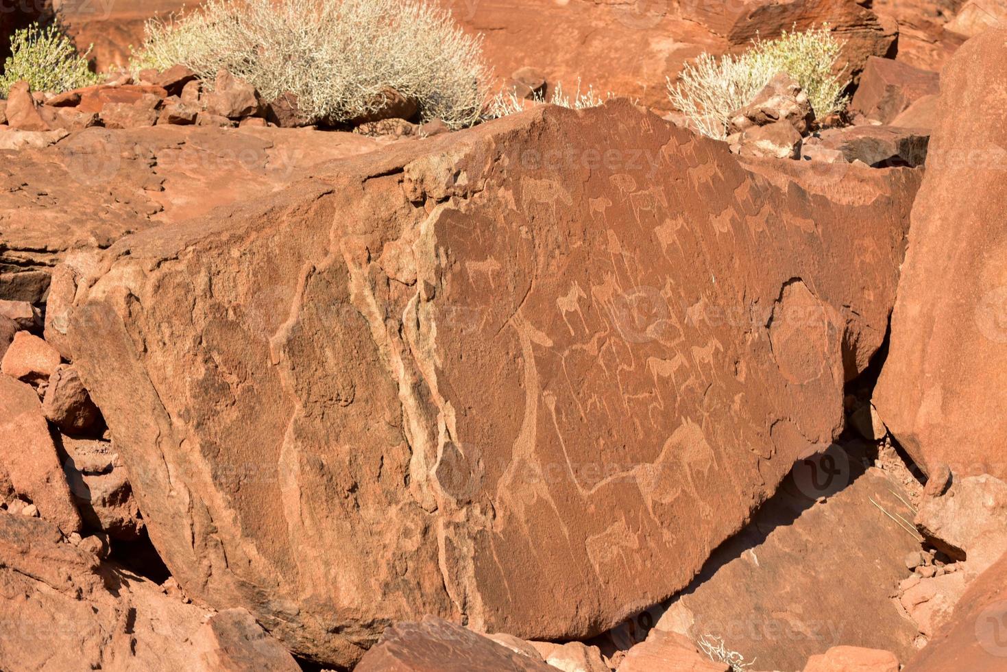 Bushman Rock Engravings - Namibia photo