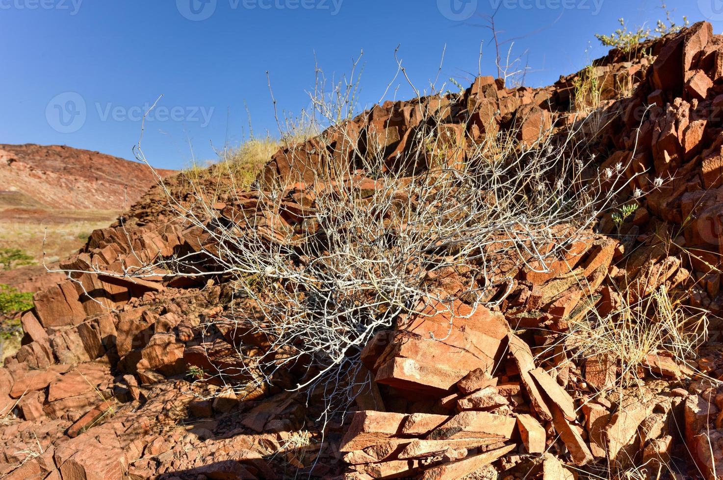Organ Pipes - Twyfelfontein, Damaraland, Namibia photo
