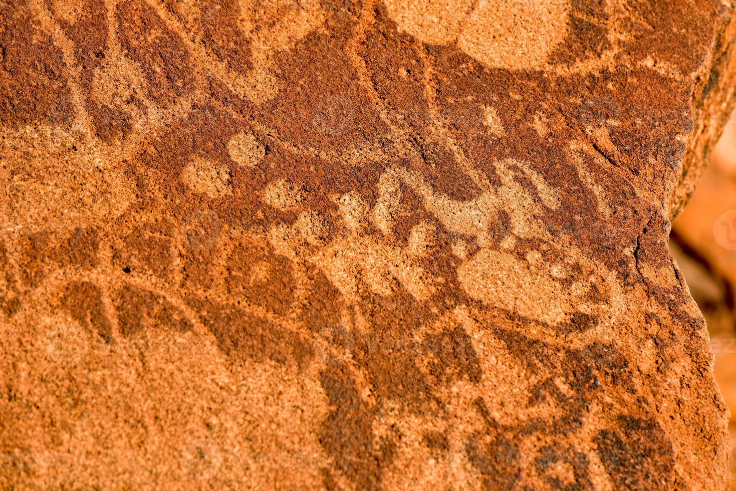 Bushman Rock Engravings - Namibia photo