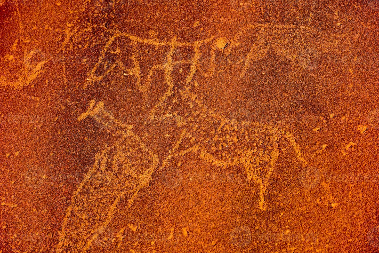 Bushman Rock Engravings - Namibia photo