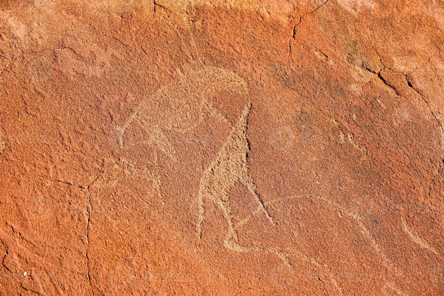 Bushman Rock Engravings - Namibia photo