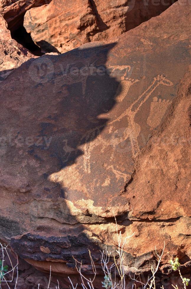 Bushman Rock Engravings - Namibia photo