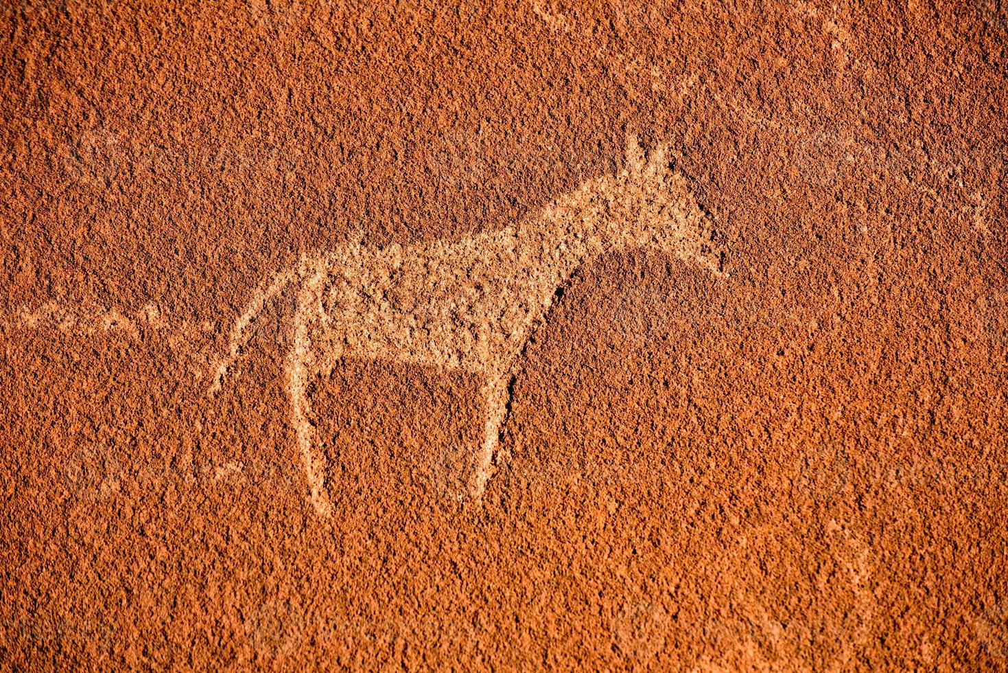 Bushman Rock Engravings - Namibia photo