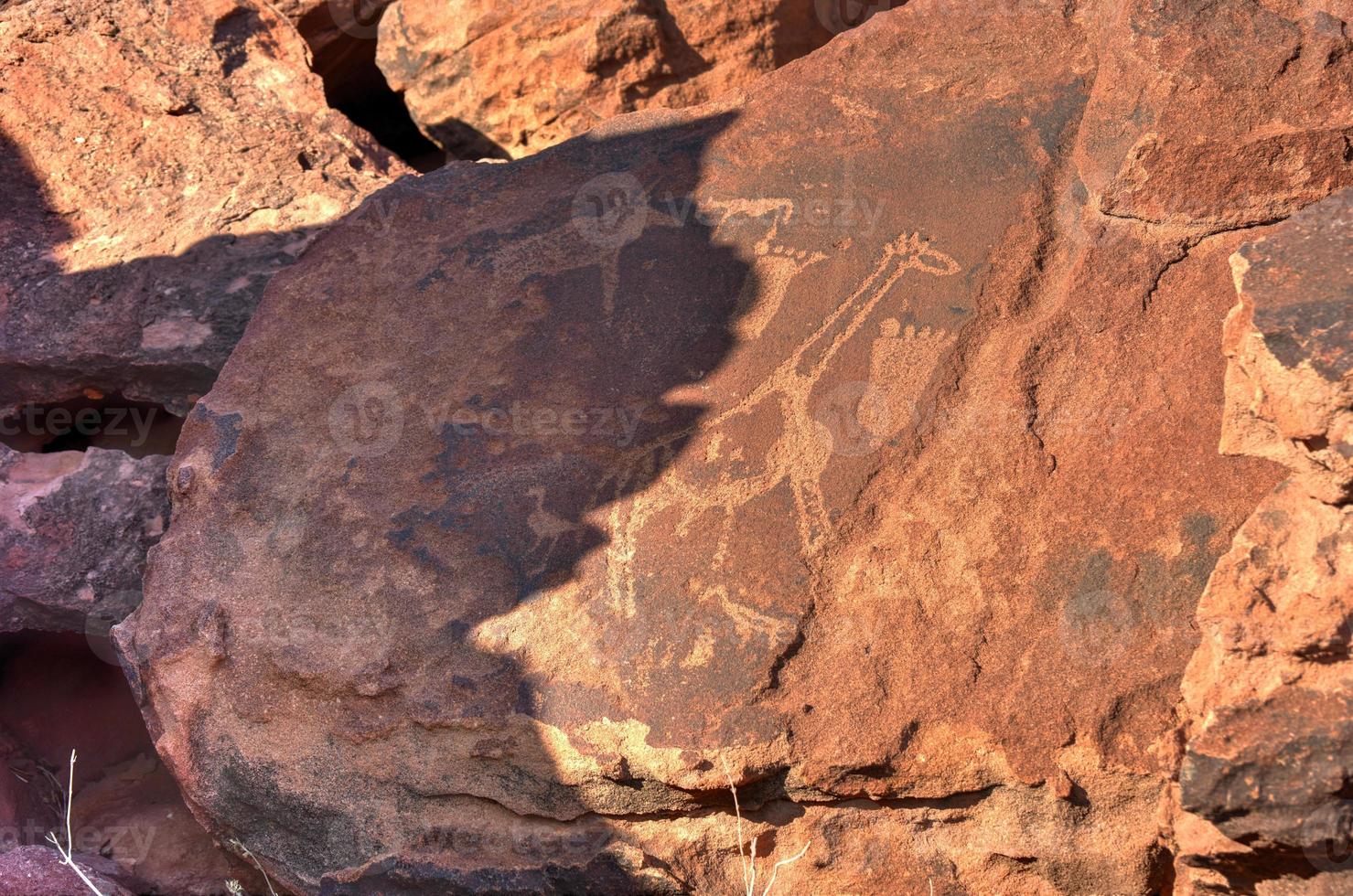 Bushman Rock Engravings - Namibia photo