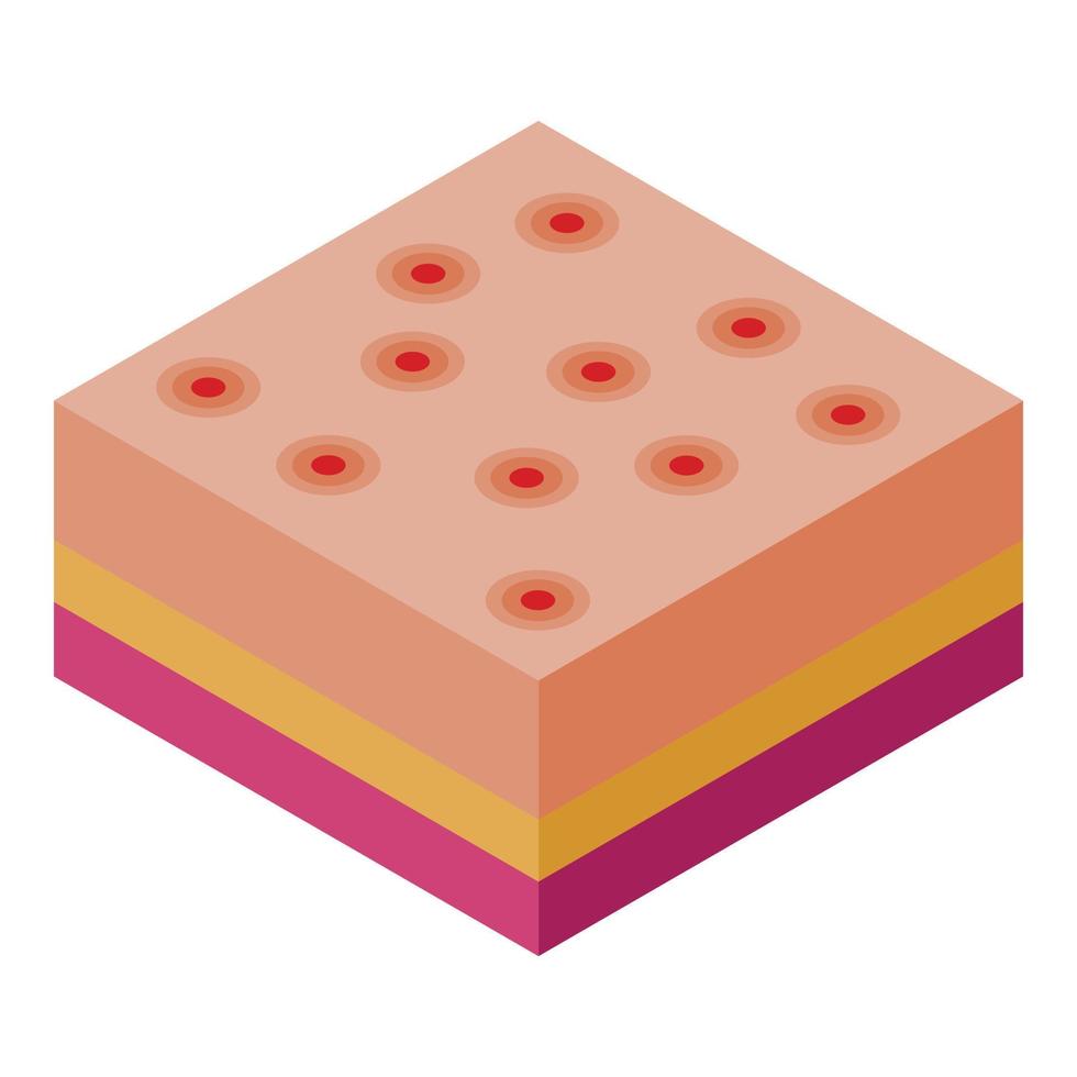 Skin chicken pox icon, isometric style vector