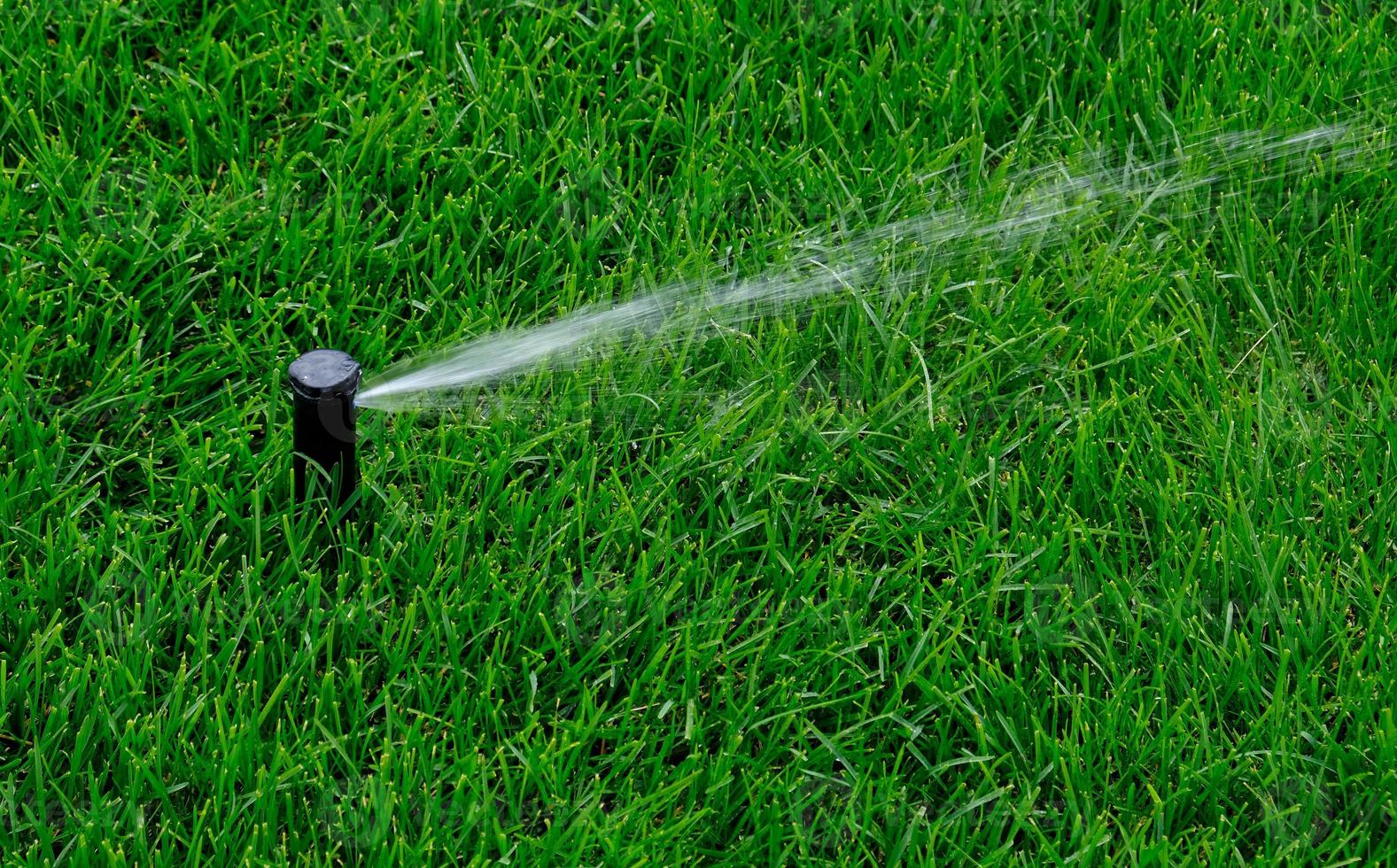 Automatic garden irrigation system watering lawn. Savings of water from sprinkler irrigation system with adjustable head. Automation for lawn irrigation, gardening, soccer fields or golf courses. photo