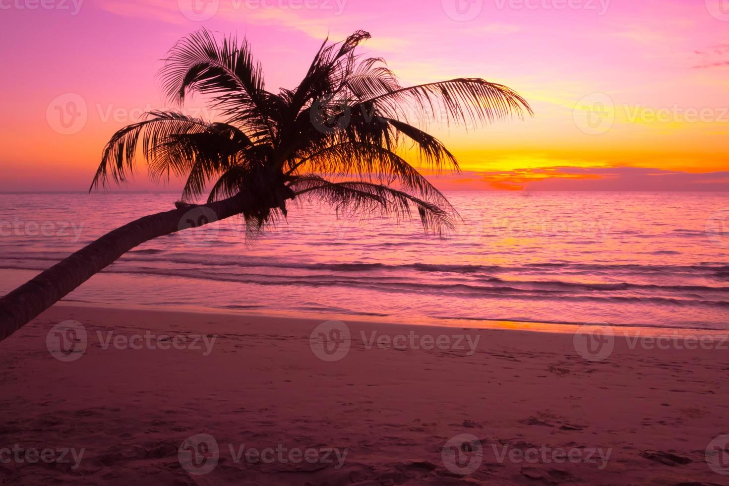 Silhouette of palm trees Beautiful sunset on the tropical sea beach background for travel in holiday relax time, photo