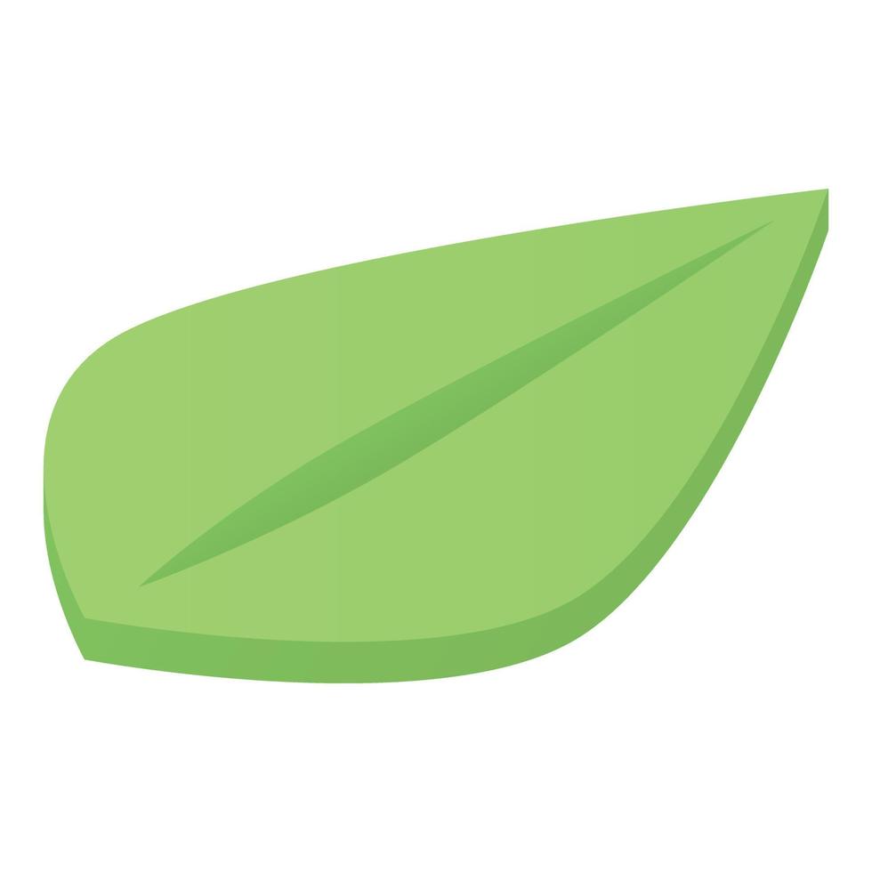 Eco tree leaf icon, isometric style vector
