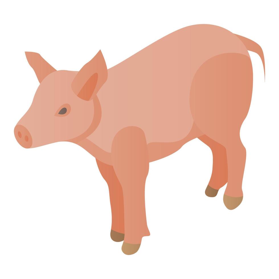 Farm pig icon, isometric style vector
