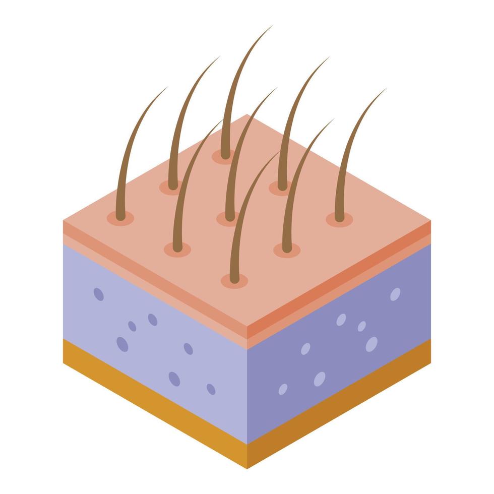 Skin with hairs icon, isometric style vector