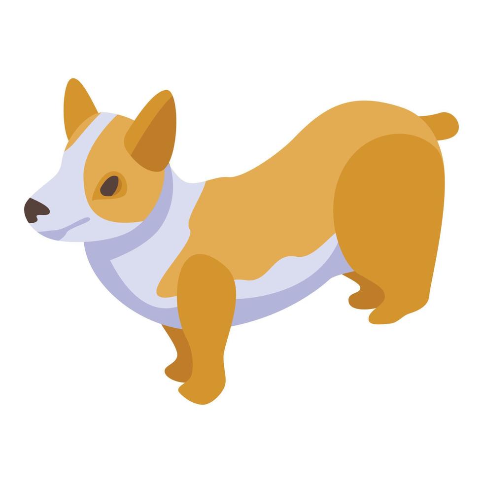 Animal corgi dog icon, isometric style vector