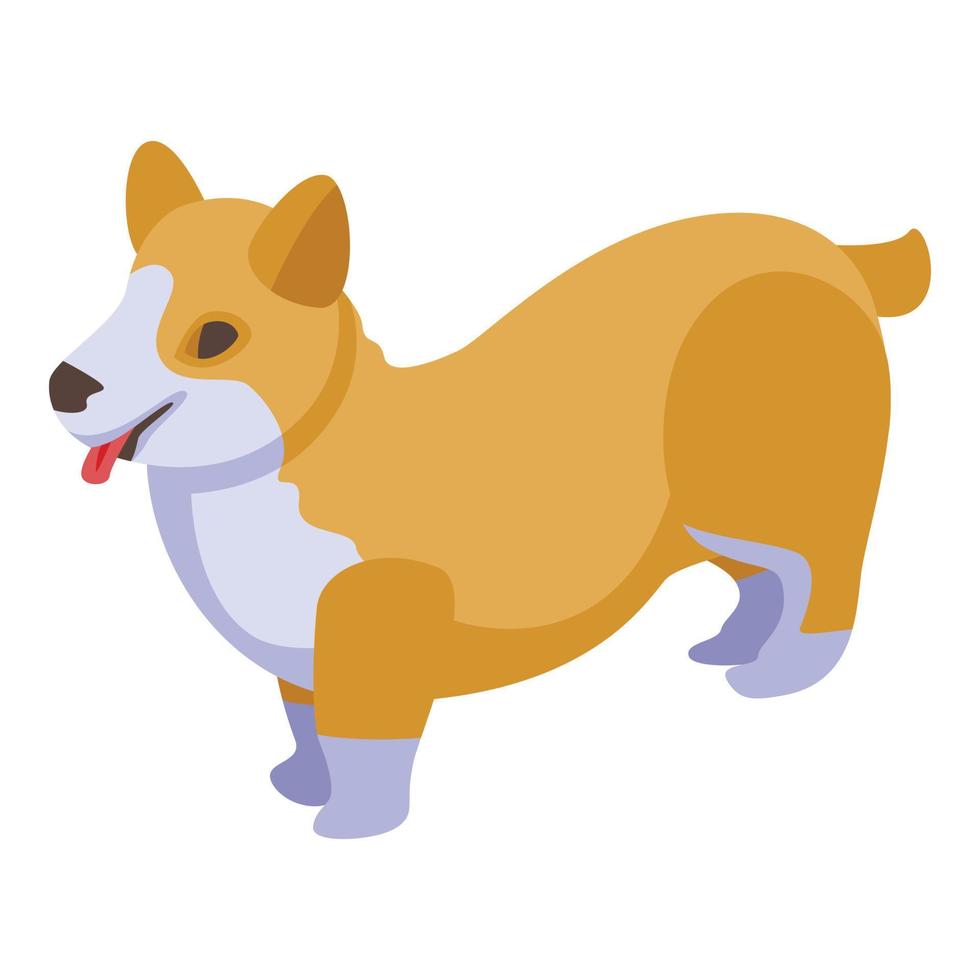 icono de perros corgi de raza, estilo isométrico vector