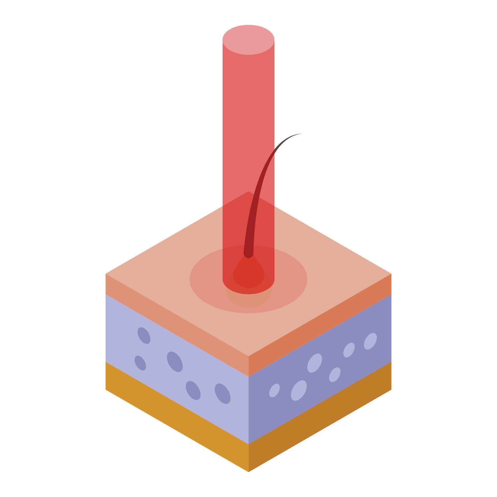 Laser hair removal process icon, isometric style 15913984 Vector Art at