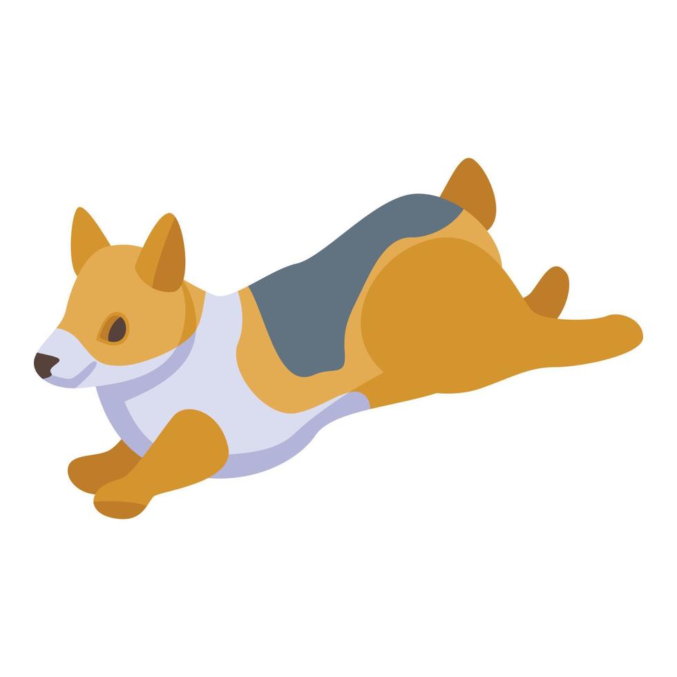 icono de perro corgi, estilo isométrico vector