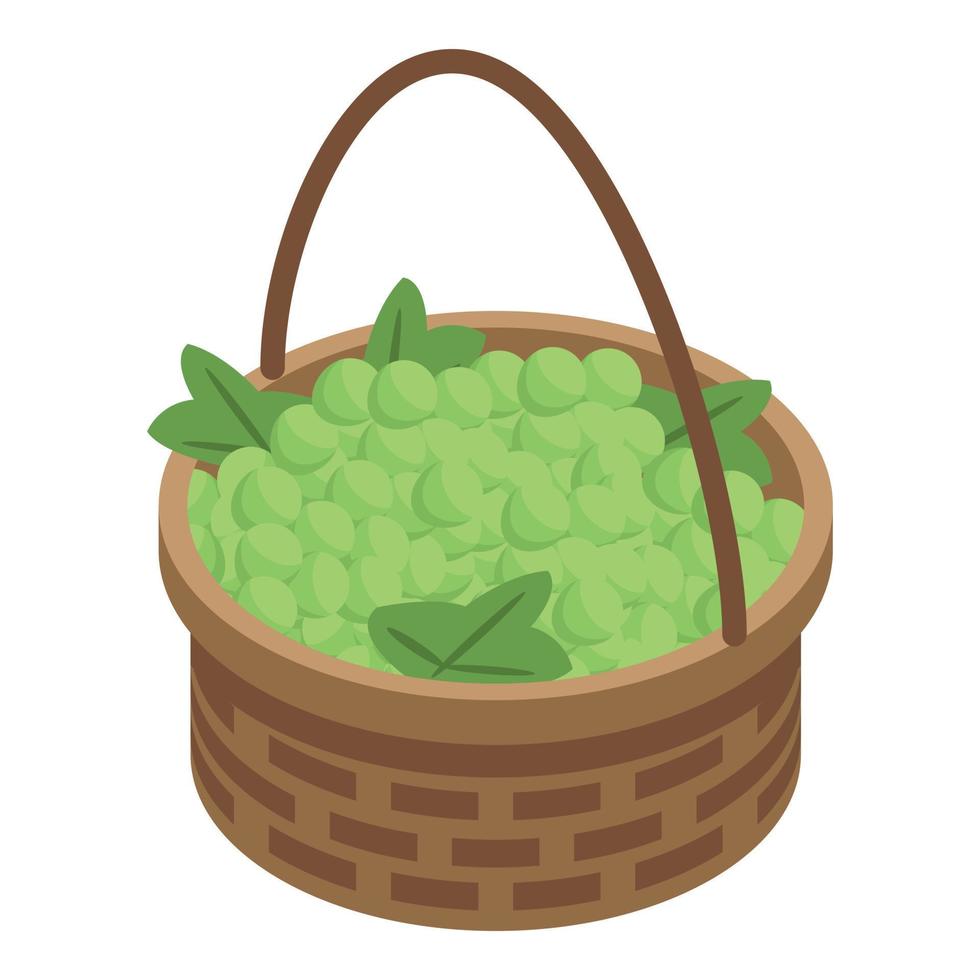 Green grapes basket icon, isometric style vector