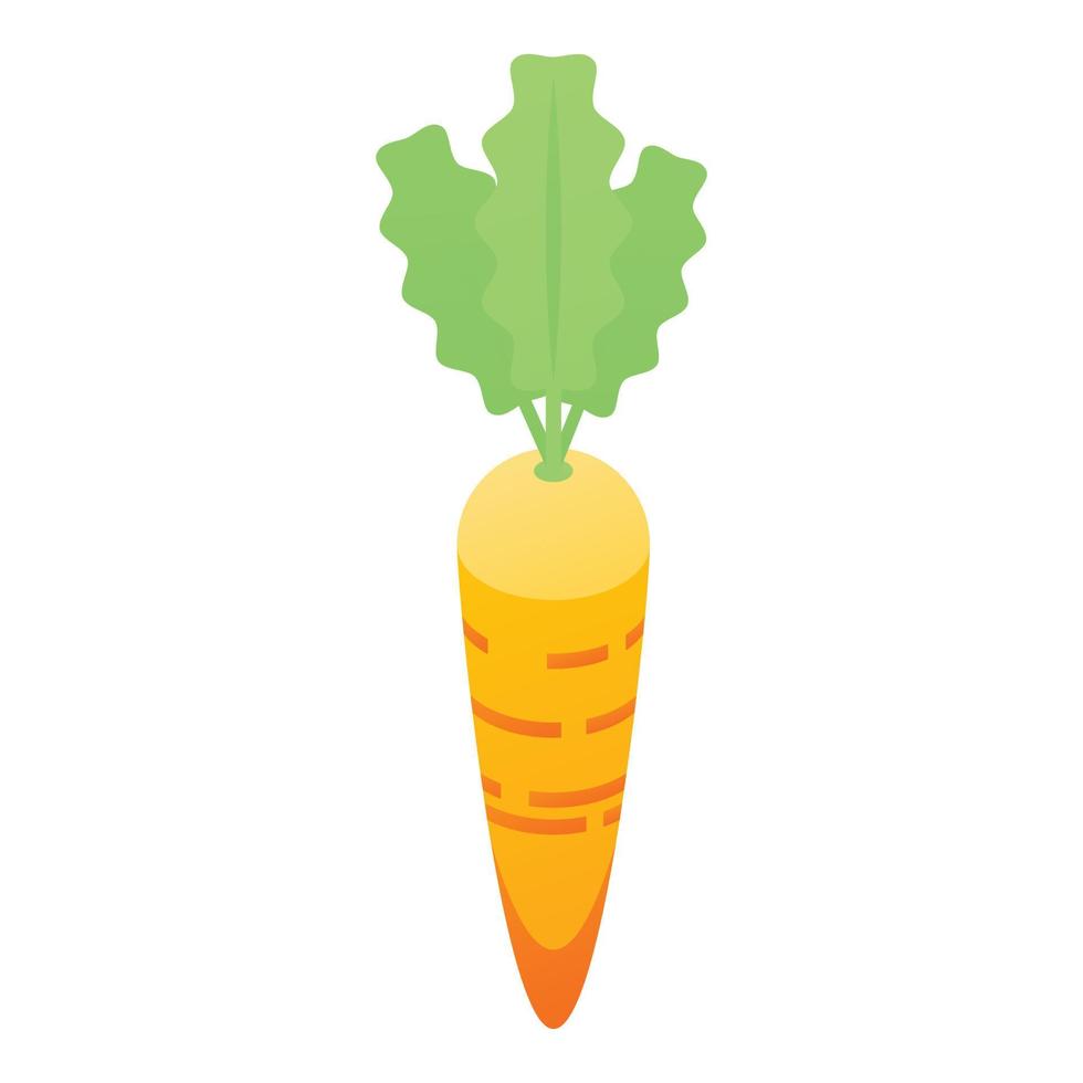 Fresh eco carrot icon, isometric style vector