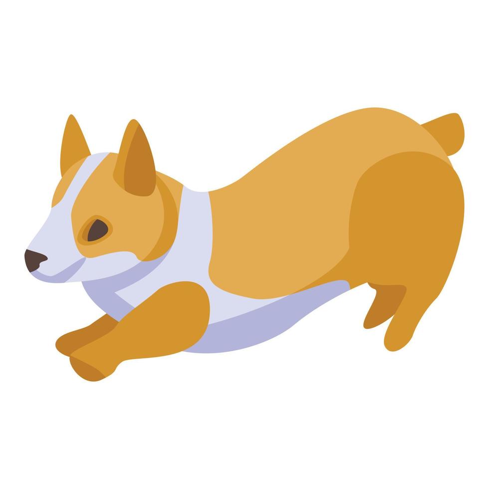 Playing corgi dogs icon, isometric style vector