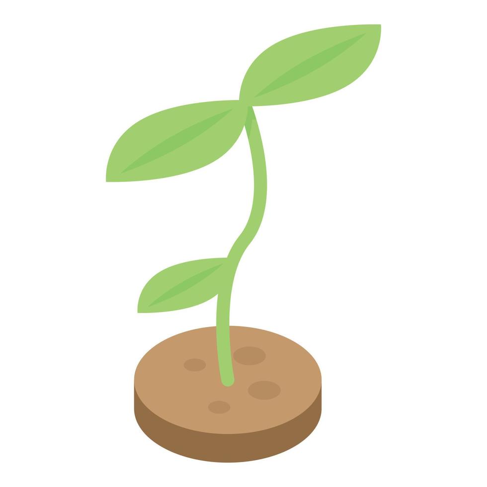 Biology plant icon, isometric style vector