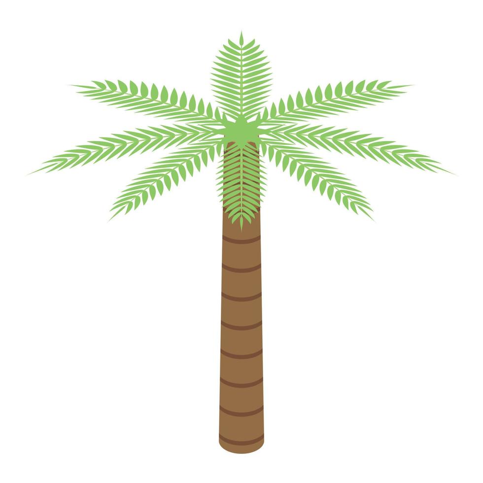 Egypt palm tree icon, isometric style vector