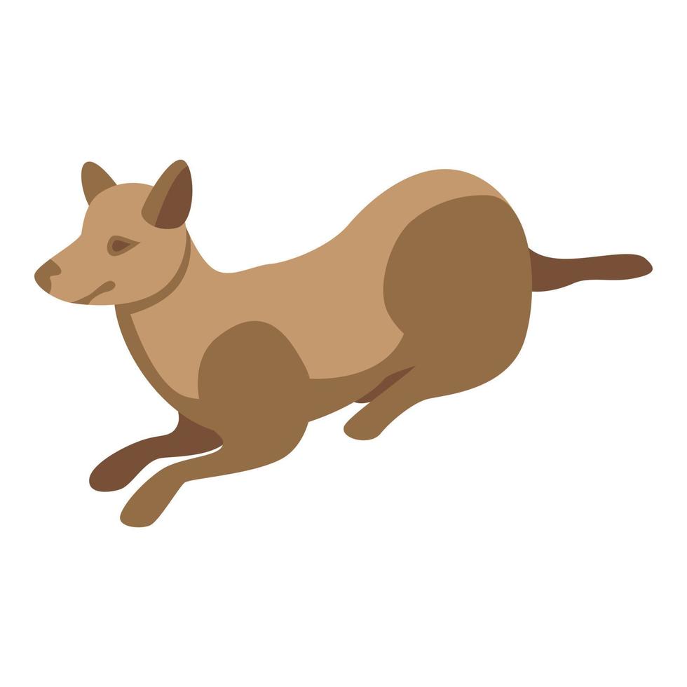 Dog agility training icon, isometric style vector