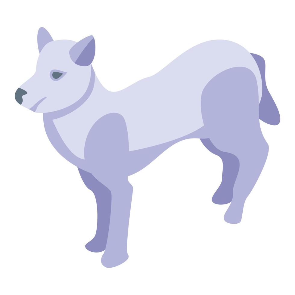 White dog training icon, isometric style vector