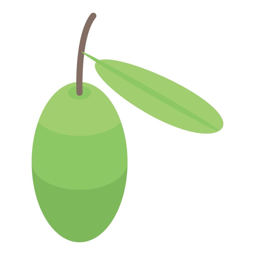 Green tree olive icon, isometric style vector
