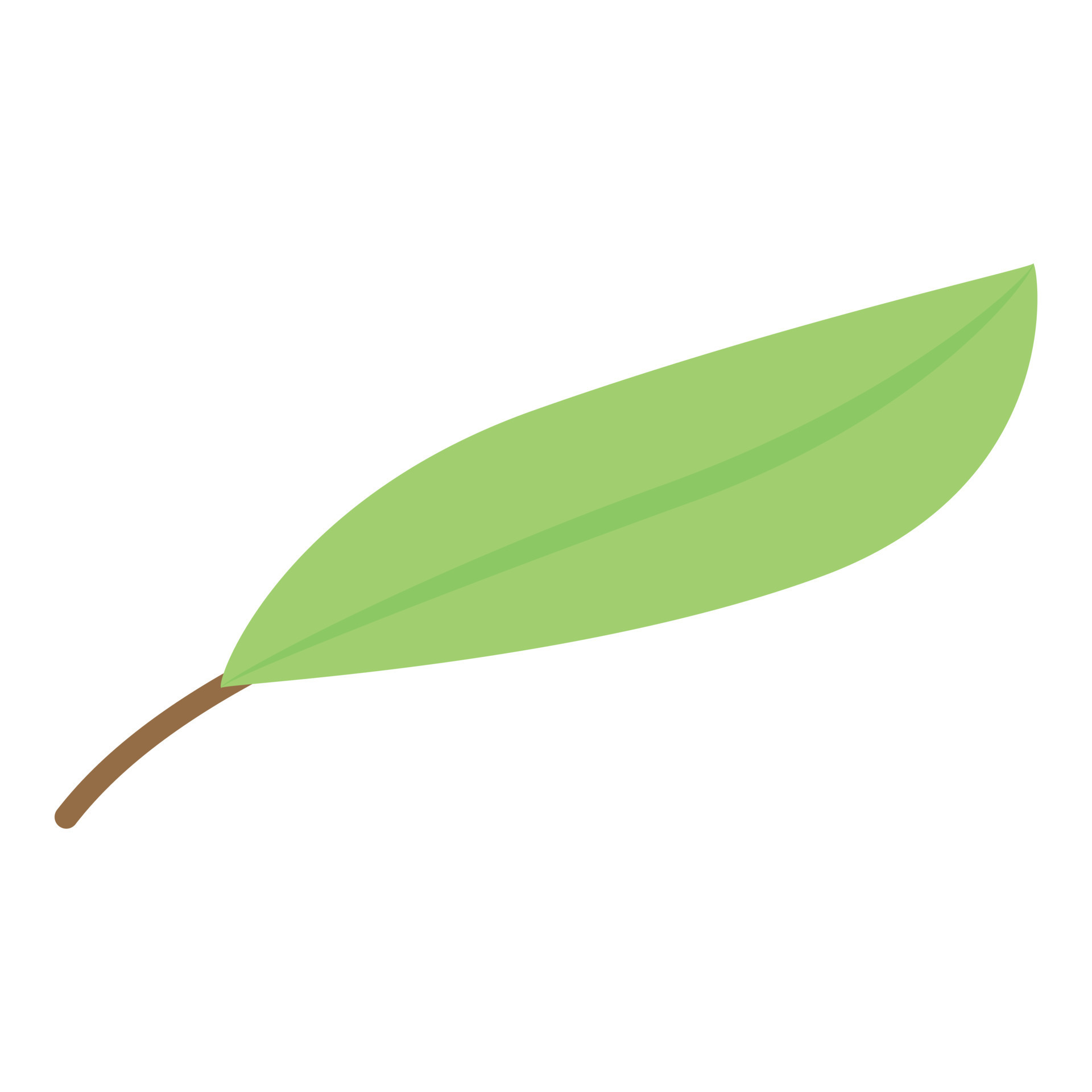 Olive tree leaf icon, isometric style 15915016 Vector Art at Vecteezy