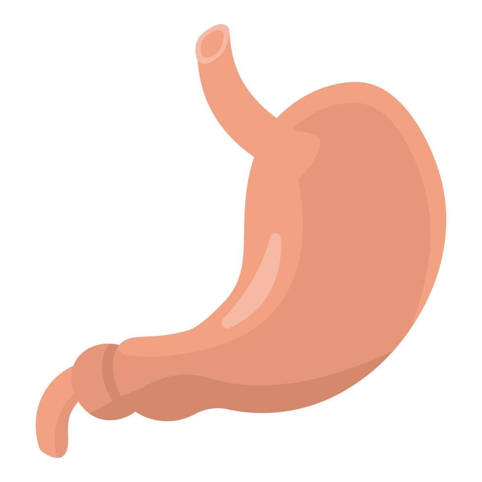 Human stomach icon, isometric style vector