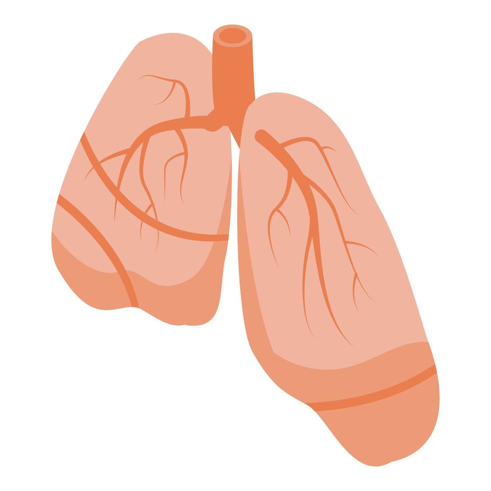 icono de pulmones humanos, estilo isométrico vector
