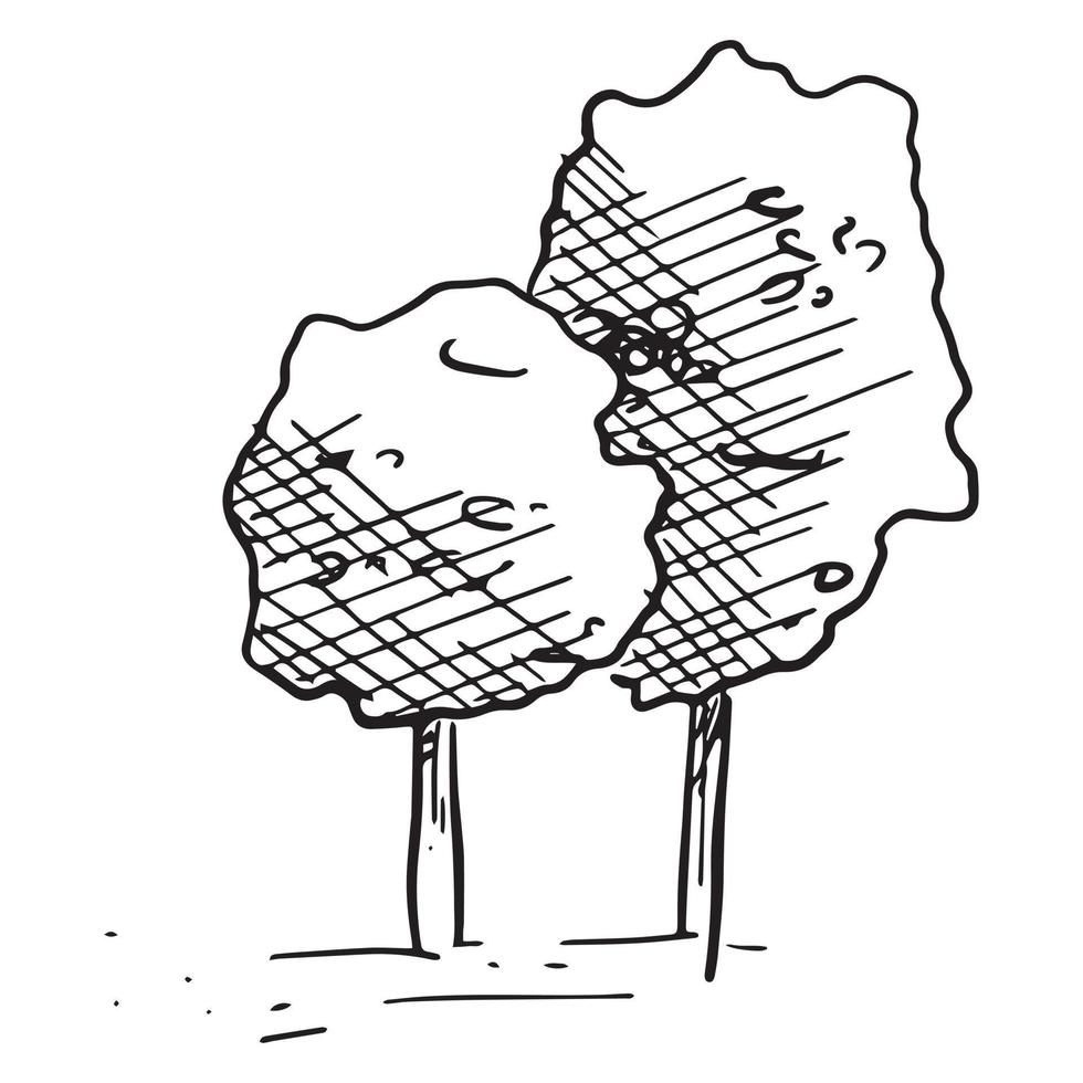 Vector isolated illustration of black and white sketch two trees with foliage.