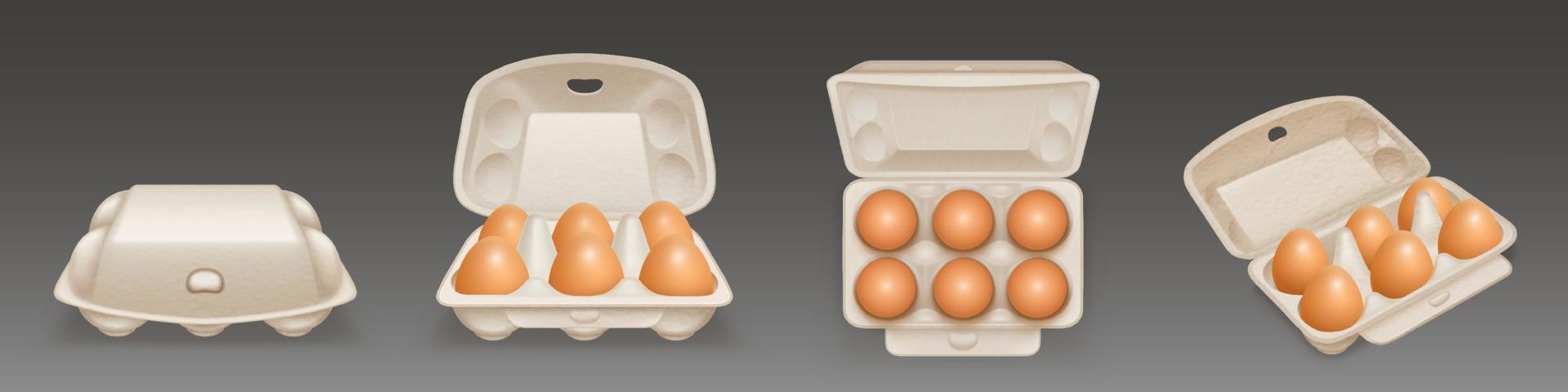 Carton egg tray, blank box package mockup vector