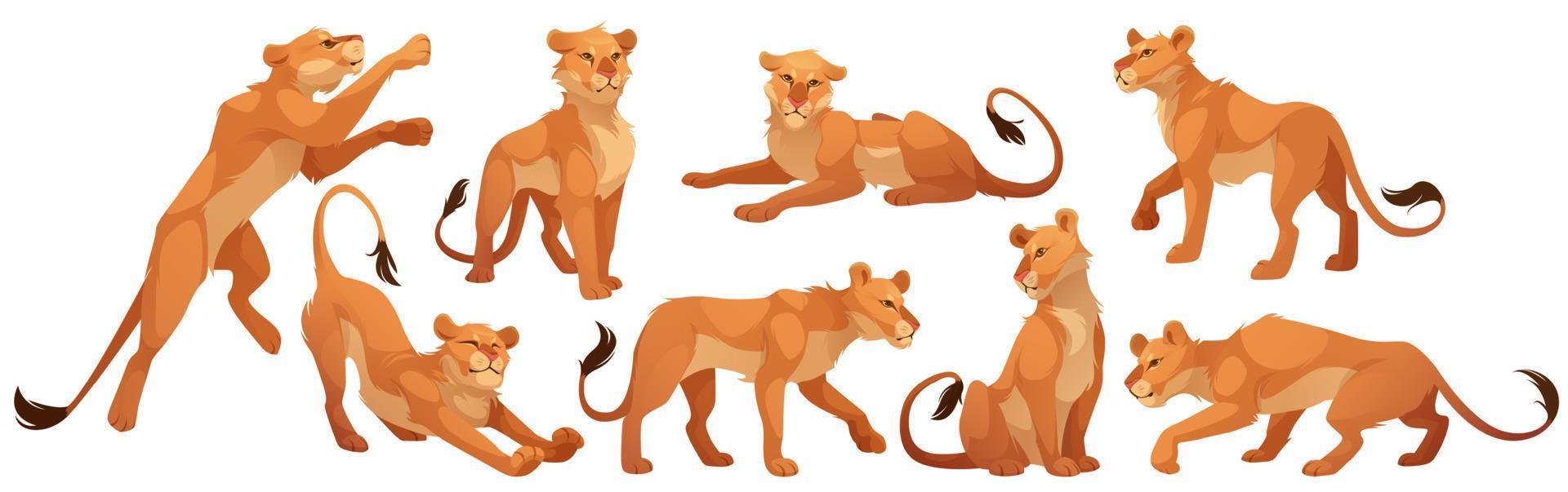 Lioness character, wild cat in different poses vector