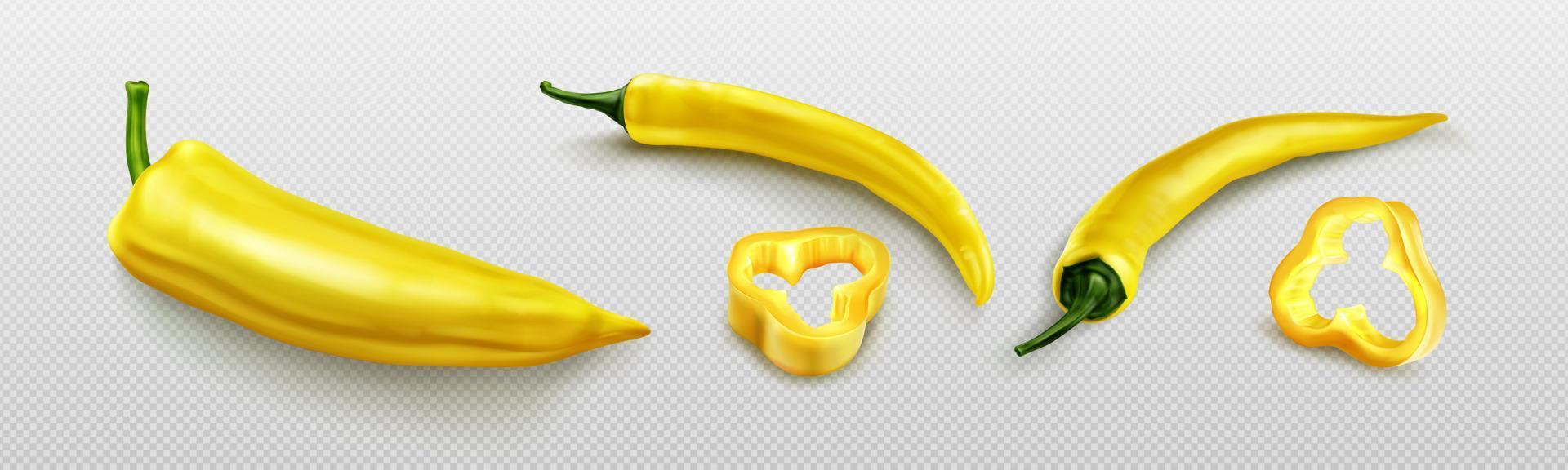 Yellow chili pepper with slices, hot cayenne vector