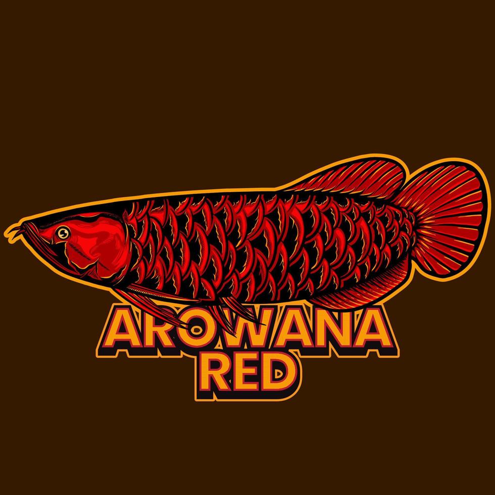 red arowana fish illustration vector