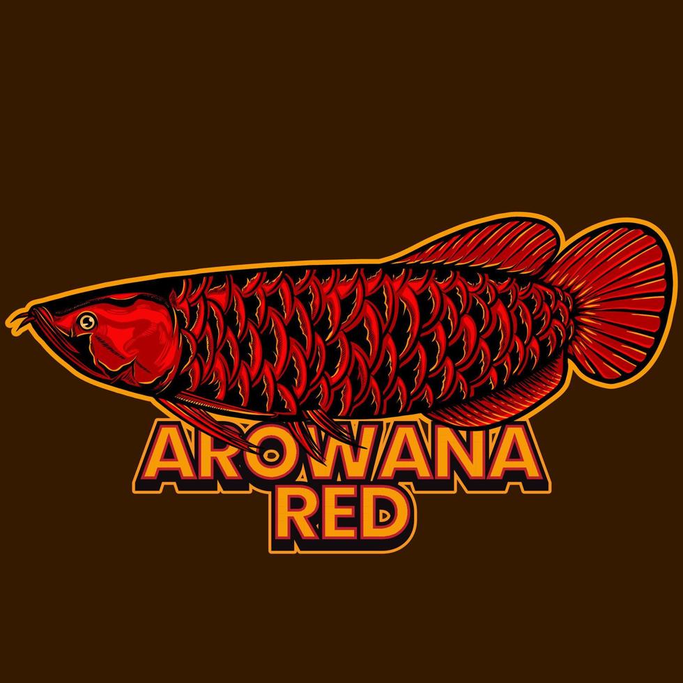 ilustración de pez arowana rojo vector