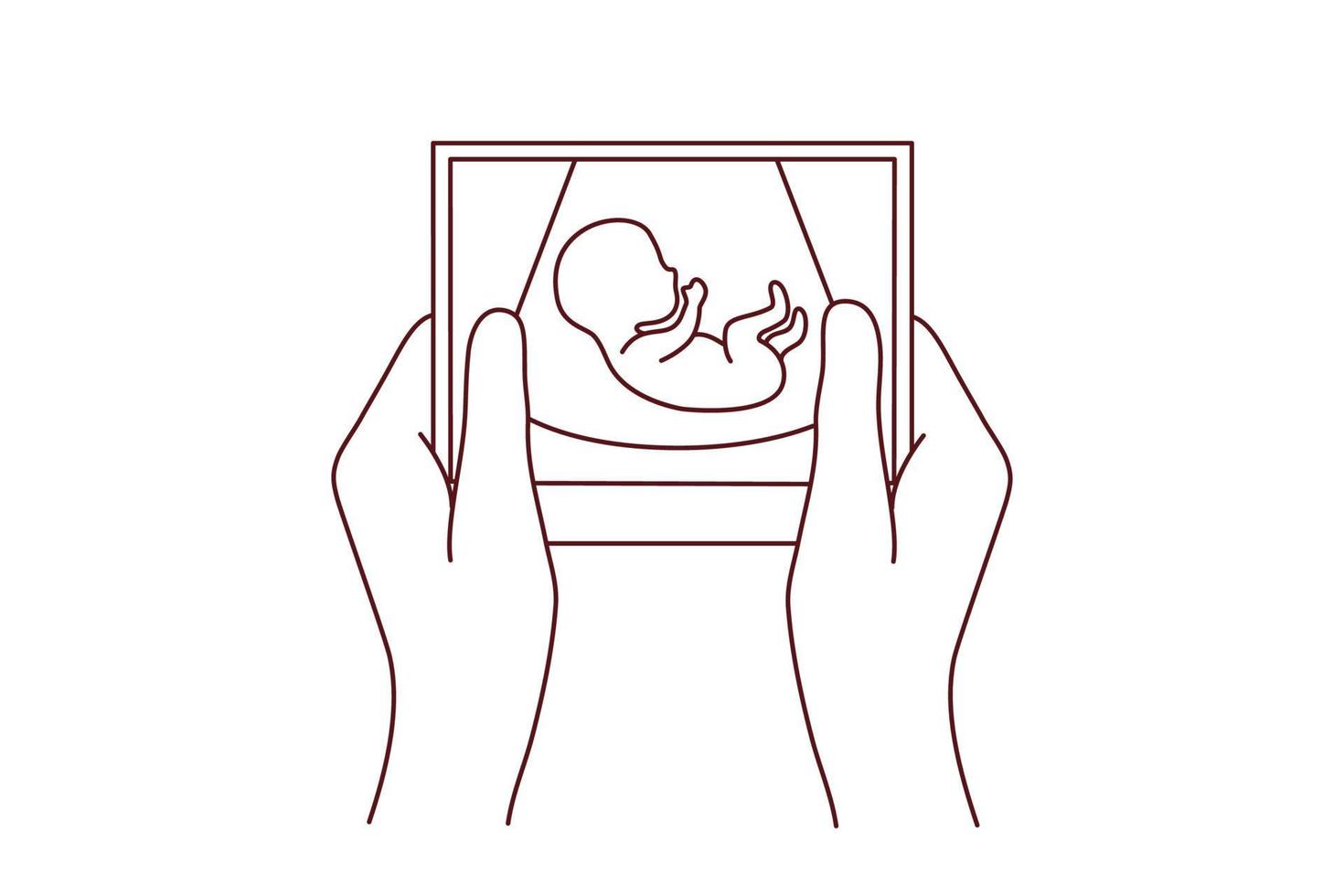 Future mother hold scan of embryo vector