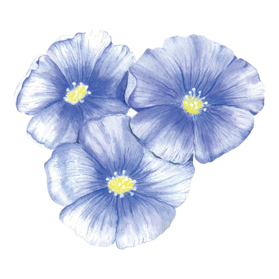 una composición de tres flores de lino azul. flores silvestres acuarelas de  color azul. ramo de flores azules pintadas en acuarela 15924869 Vector en  Vecteezy
