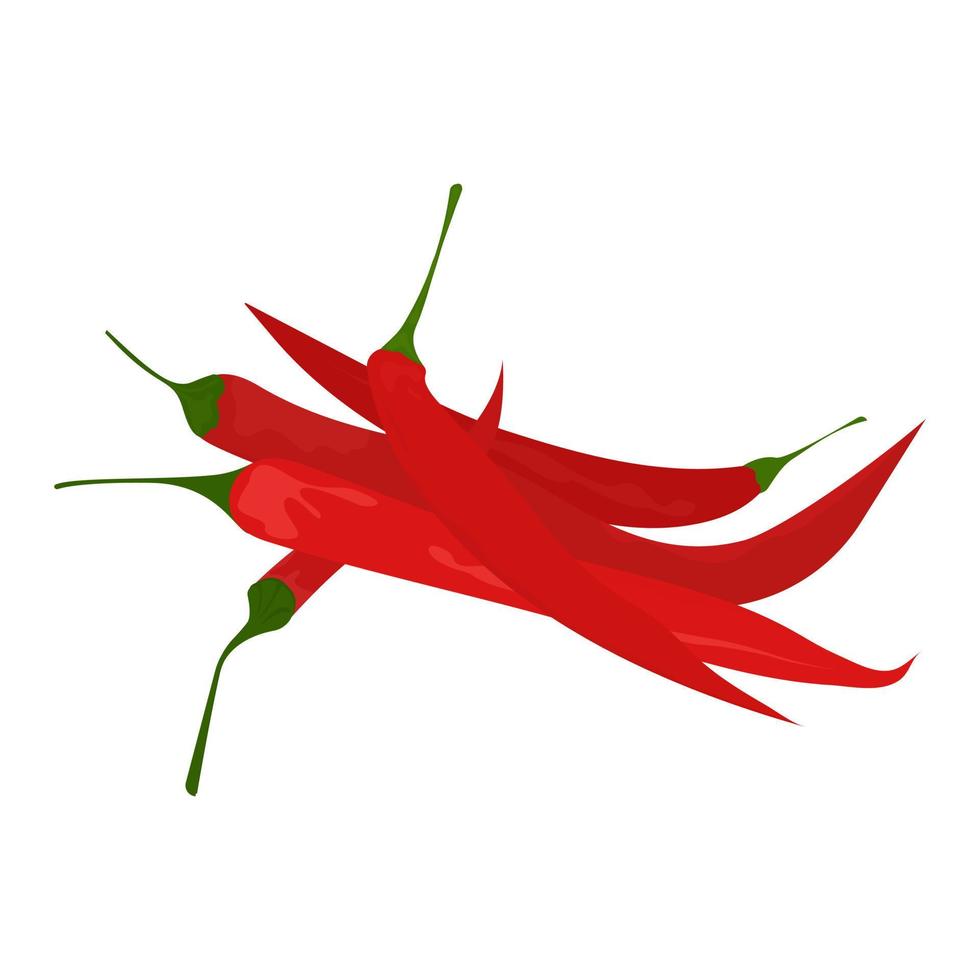 Red hot chili pepper on a white background, isolated vector