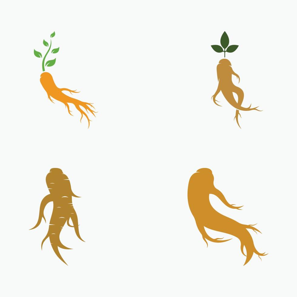 Logo design of natural ginseng herb plant and leaves.Logo for business, herbal,floral. vector