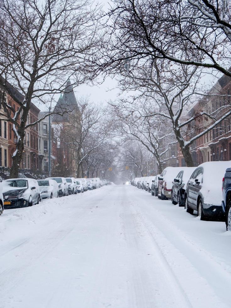 Snow in Brooklyn photo