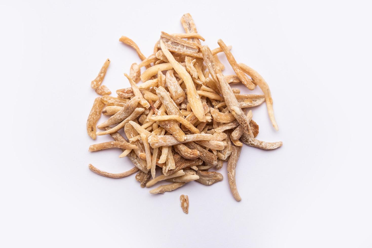 Ayurvedic Potent herb musli or safed moosli photo