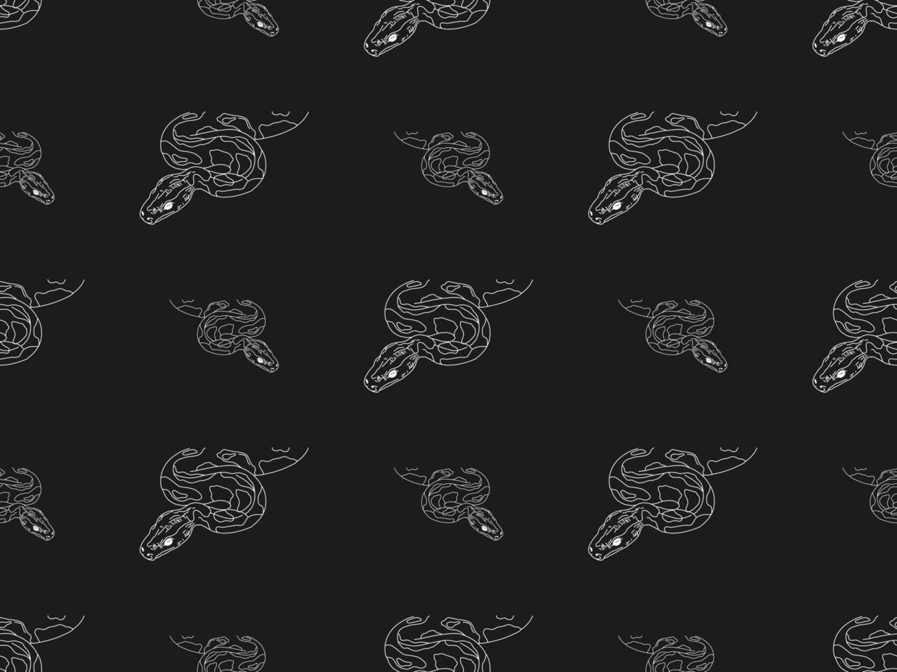 Snake cartoon character seamless pattern on black background vector