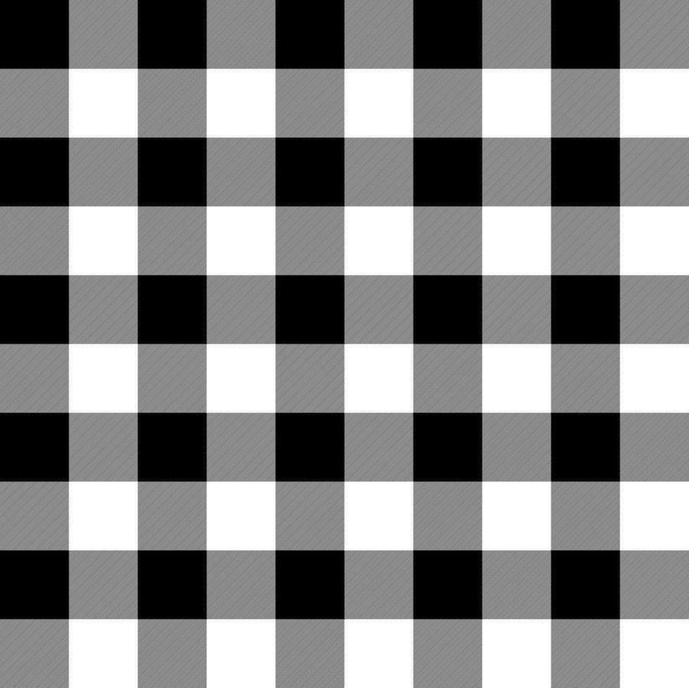 black and white seamless plaid pattern vector