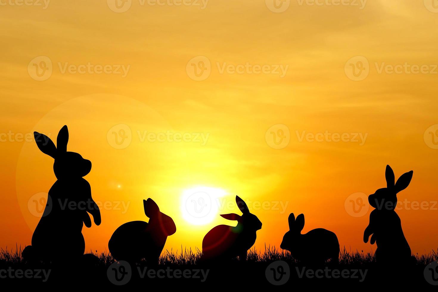 Rabbit silhouette in the meadow. The rabbit symbolizes the year 2023. photo