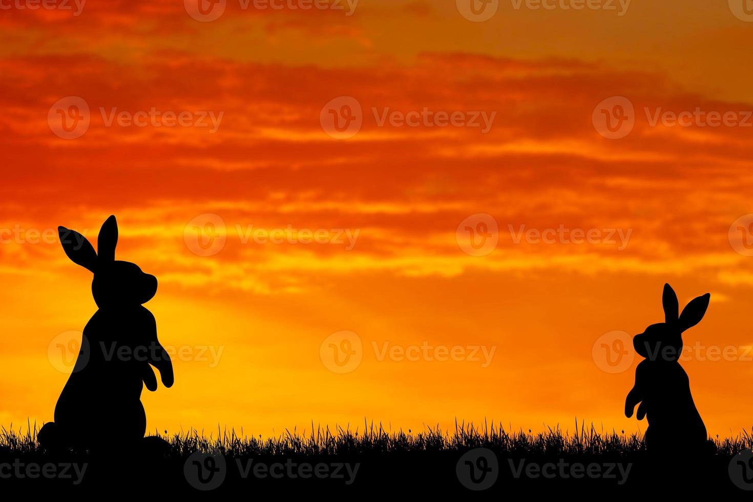 Rabbit silhouette in the meadow. The rabbit symbolizes the year 2023. photo