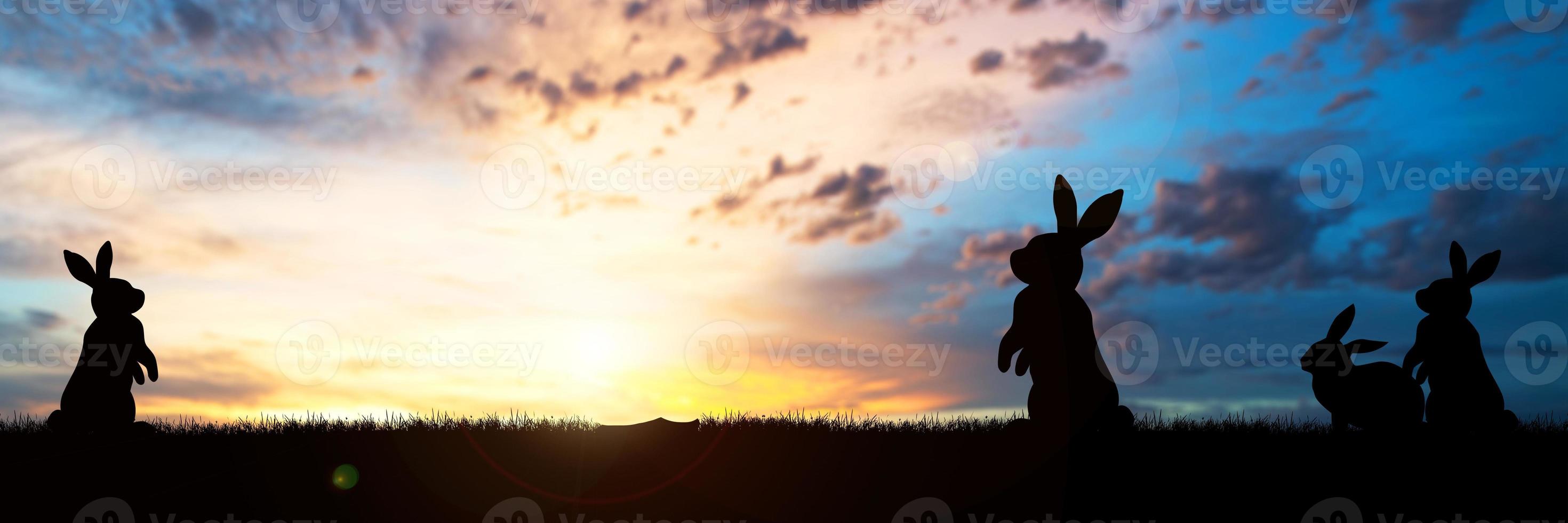 happy new year 2023 rabbit looking at the rising sun on new year's morning photo