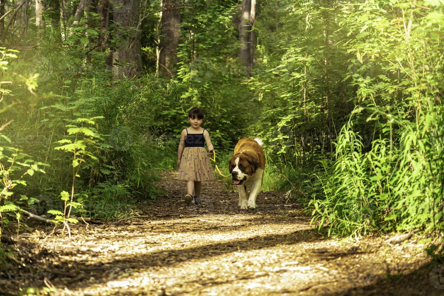 Girl walking with her dog in a forest. photo